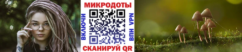 OMG сайт  Приморско-Ахтарск  Галлюциногенные грибы мицелий 