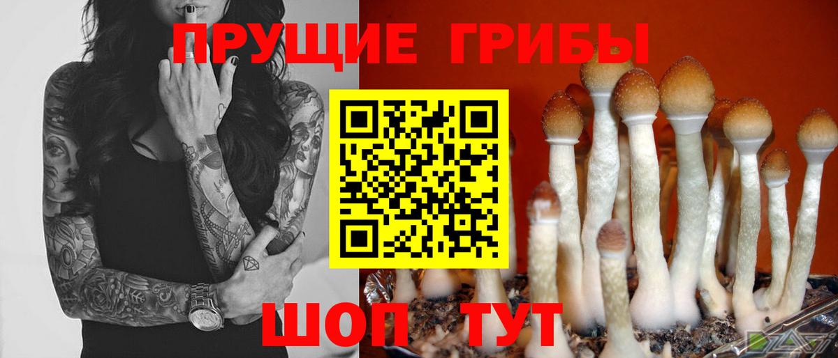 Галлюциногенные грибы ЛСД Приморско-Ахтарск