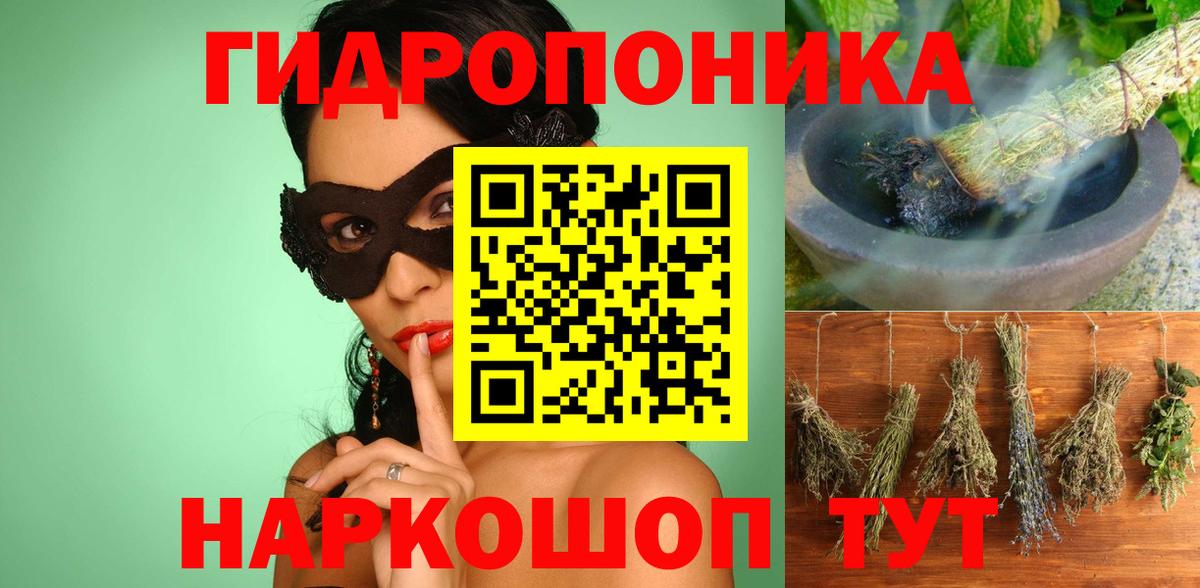 Конопля OG Kush Приморско-Ахтарск
